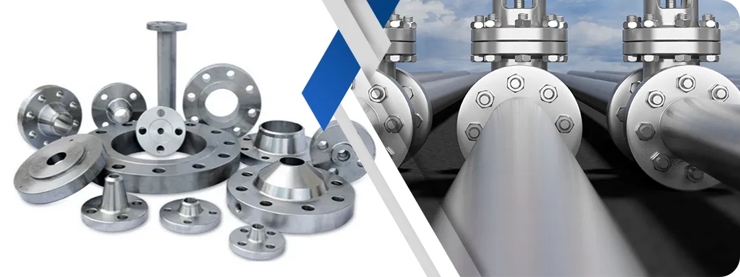 Alloy B2 Flanges Manufacturer in India